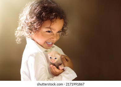 Anak laki-laki kecil dengan kucing kecil. Anak dengan anak kucing yang baru lahir. Anak keriting yang menggemaskan menggendong kucing berbulu halus yang lucu. Anak-anak dan hewan peliharaan. Anak-anak merawat hewan peliharaan. Cinta dan persahabatan.