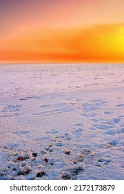 Ladang tertutup salju saat matahari terbenam jingga. Langit oranye yang menakjubkan di lahan pertanian beku yang kosong. Adegan lanskap musim dingin salju putih segar yang lembut saat fajar dalam adegan Arktik. Pemanasan global dan perubahan iklim.