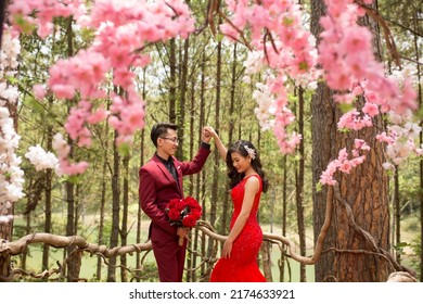 Novia con vestido de novia de cola de pescado rojo. Novio con un lujoso traje rojo. Hermosos, alegres y animados recién casados, el novio y la novia se abrazan cerca de la floreciente flor de cerezo rosa.