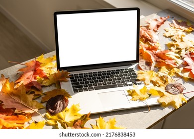 Laptop-Computer mit leerem Bildschirm auf der Terrasse mit schönem, buntem, rotem und gelbem Ahornblätterhintergrund im Herbst, Kopierraum für Display-Präsentation, Marketing, Werbekonzept