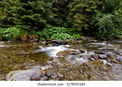 long exposure mountain river flowing between rocky shores in Carpathians mountains. Wild mountain river flowing through stone boulders, Water clear stream river flowing in the deep forest,