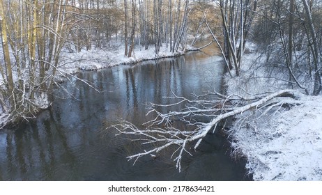 El río fluye a través del bosque. A fines del otoño, en el bosque, los árboles permanecen sin hojas y se reflejan en el agua del río. Después de la nevada, la nieve se encuentra en las orillas del río y en los árboles. Soleado