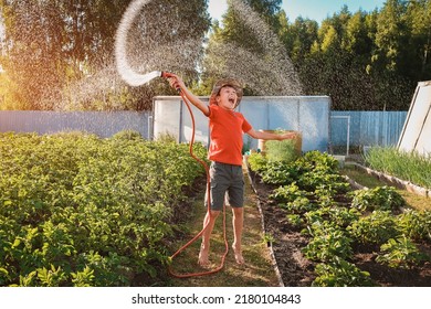 boy child jumping splashing hose water in the backyard in the garden in summer at sunset in the sunshine having fun summer vacation in the village.