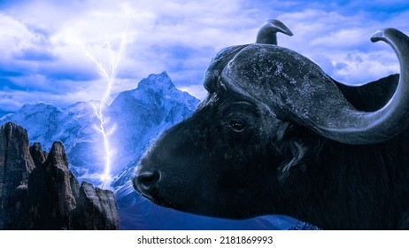 Thunder in snowy mountains. Cow front of lightning hammer. Lightning bolt on hammer.