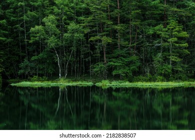 Lake and reflection among forest HD wallpaper download