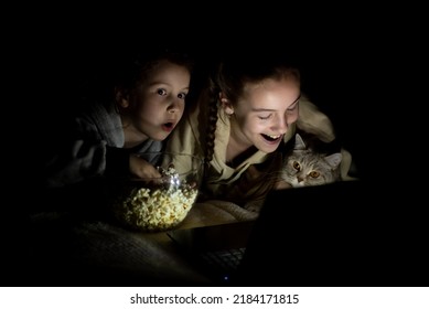 Two sister girls with a cat watch cartoons on the device and have a fun together. They're at home. Childhood. Leisure.