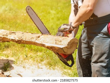 A man saws a piece of wood with a chainsaw. Working with a gasoline chain saw, close-up. The chainsaw started moving. A young man is working with a chainsaw, sawing boards for firewood in his backyard