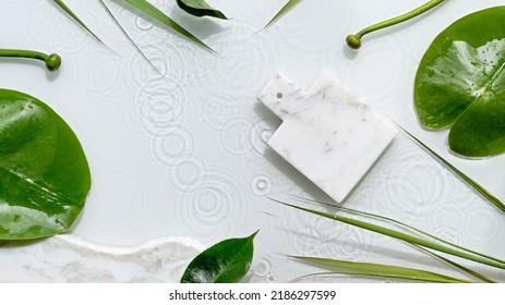 Seerosenblätter und -knospen auf weißem Hintergrund. Mockup mit Platz für Produkt auf Marmorplatte. Natürliches Sonnenlicht, lange Schatten. Flache Lage mit Wasserspritzern.