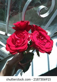 No hay palabras para el amor ... solo dale las rosas rojas para decirlo todo.