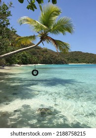 アメリカ領ヴァージン諸島のセント・ジョン島にあるオッペンハイマー・ビーチの上のタイヤブランコ。
