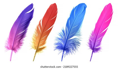 Beautiful Colorful Feathers. Collection Purple, Red, Blue, Pink Feathers Isolated on White Background.