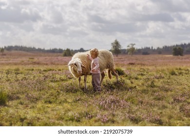 Eine verträumte Aufnahme eines entzückenden kaukasischen Kleinkindmädchens, das ein Schaf auf einer Farm streichelt