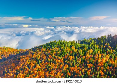 カラフルな木々 と山の秋の風景。雲の上の山の秋の色。カラフルな山の自然の風景。秋の色鮮やかな森の風景。ドマニック、トルコ。