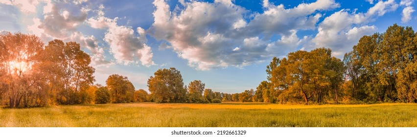 Színes őszi napfelkelte a réten. Panorámás természeti táj, lágy pasztell színek, álomtermészet, naplemente őszi háttér. Erdőmező, Vértes aranyfüves rét. Békés csodálatos természeti panoráma