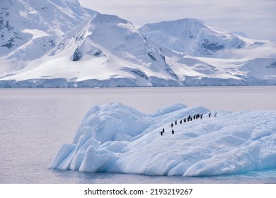Penguin di gunung es di Antartika dengan gletser menutupi pegunungan di latar belakang