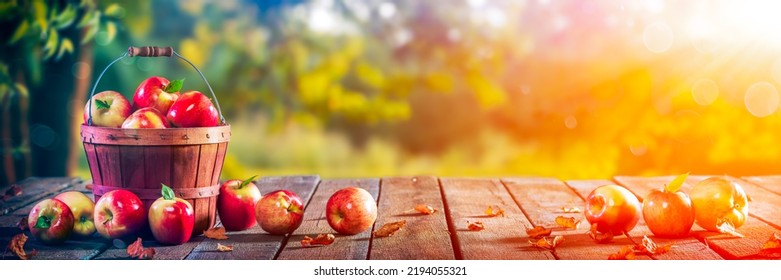 Appels In Houten Mand Op Tafel Bij Zonsondergang - Herfst En Oogst Concept