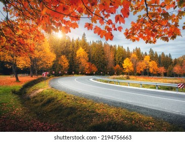 Weg in de herfstbos bij zonsondergang. Mooie lege bergweg, bomen met rood en oranje blad. Kleurrijk landschap met weg door het bos in de herfst. Reis. Rondrit. Vervoer. Seizoen
