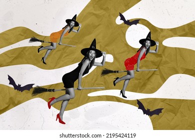Collage profile photo of three funny ladies magic witch fly broomstick wear hats halloween bat isolated on drawing background
