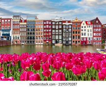 Arquitectura tradicional de Ámsterdam y tulipanes de primavera en el canal Damrak, Países Bajos