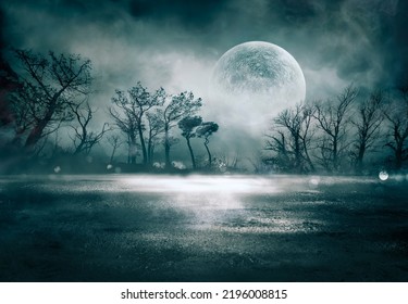 Niebla en el bosque espeluznante a la luz de la luna sobre el asfalto - Bokeh abstracto y tonos de filtro