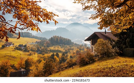 秋の山谷。秋の風景は、太陽の光に輝く緑の牧草地の上に美しい色の木々。秋の美しい自然の風景。スイス