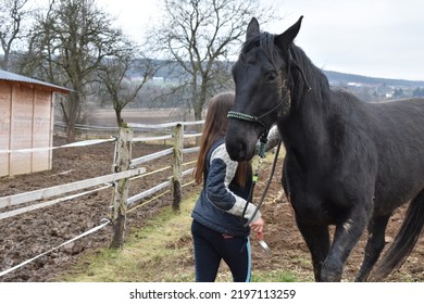 mooi meisje met witte en zwarte paarden