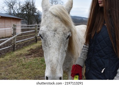 mooi meisje met witte en zwarte paarden