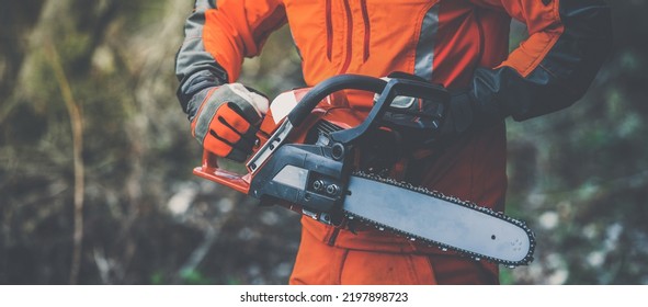Primer plano de una mano que sostiene una motosierra. Un leñador en el trabajo lleva un equipo de protección personal de color naranja. Un jardinero que trabaja al aire libre en el bosque. Concepto de seguridad, profesionalidad y ocupación.