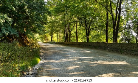 Camino pavimentado con adoquines entre árboles verdes.