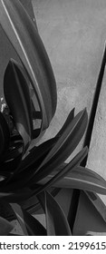 熱帯の葉の背景画像の自然な抽象的な黒、灰色、茶色の葉のテクスチャ