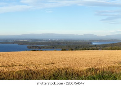 Vedere a peisajului din zona Marelui Lac, Suedia. Agricultura, terenuri agricole, păduri și apă în soarele dimineții. Munți în fundal.