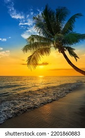 Bellissimo paesaggio oceano tramonto estivo sfondo naturale verticale