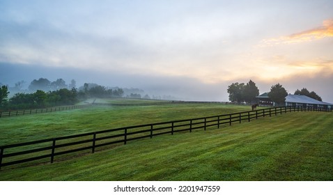 Sương sớm trên trang trại