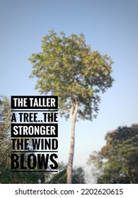 Citas motivacionales en la vida "Cuanto más alto es un árbol... más fuerte sopla el viento". Citas inspiradoras sobre el árbol y el fondo del cielo azul, estilo borroso