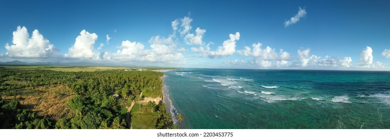 ココヤシの木とターコイズ ブルーのカリブ海と野生の熱帯の海岸線。美しい旅行先。ドローンからのパノラマ ビュー