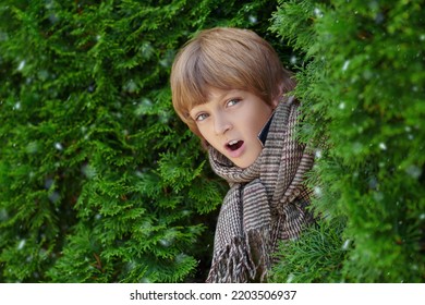 Portret van een schattige blonde jongen in geruite warme kleren die opgewonden naar buiten gluurt van achter groene struiken. Winterdag met sneeuwval. Gelukkige kinderen. Kindermode. Ruimte kopiëren.