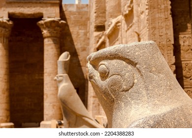 La vista de la cabeza de la escultura del antiguo dios egipcio Horus en forma de águila en el antiguo templo egipcio de Edfu, Egipto.