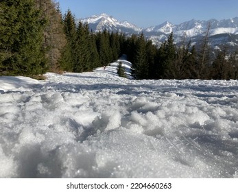 Foto de montañas, árboles, campos verdes, bosques, lagos y ríos en verano e invierno. Impresionantes vistas con nieve en las montañas.
