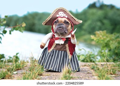 Grappige Franse Bulldog-hond verkleed met piratenbruidkostuum met hoed, haakarm en jurk aan de waterkant