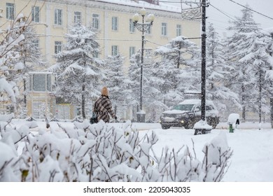 Pemandangan jalan kota bersalju selama hujan salju. Banyak salju di trotoar, semak-semak dan pepohonan. Seorang wanita berjalan di sepanjang trotoar. Mobil itu melaju di jalan. Cuaca musim dingin bersalju yang dingin.