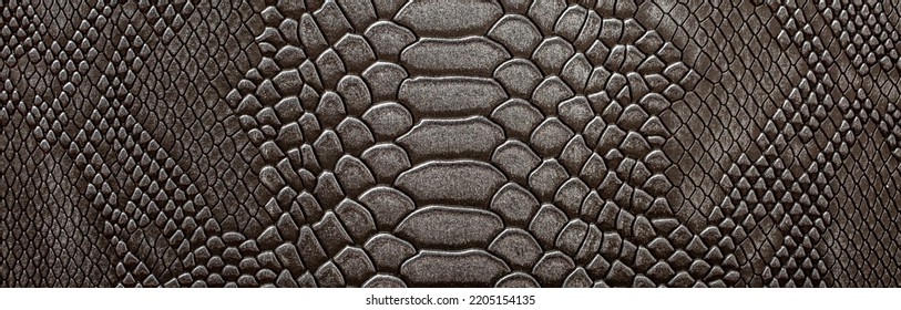 Kulit python abu-abu gelap yang indah, tekstur kulit reptil, close-up kulit ular sebagai latar belakang.