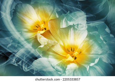 Fractal tulip HD wallpaper download