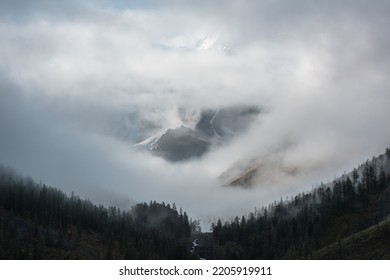 Tranquil scenery with snow mountain range in clouds. Mountain creek flows from forest hills. Snowy mountains in mysterious fog clearance. Small river and silhouettes of coniferous trees in low clouds.