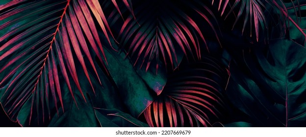 Folhas tropicais, fundo de selva escura, cor tonificada