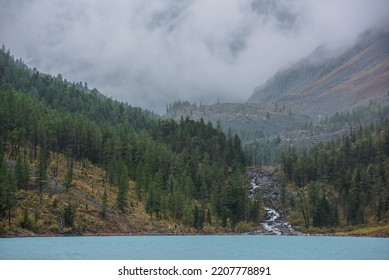 Azure mountain lake and forest hills with pointy fir tops against large snowy mountains in thick low clouds. Mountain creek flows into glacial lake. Peaked spruce tops and high snow range in dense fog