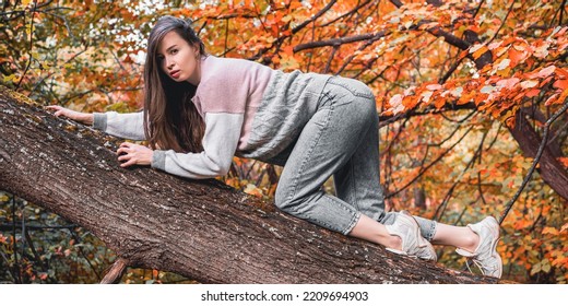 Una chica de cabello castaño con un suéter y jeans se arrastra a lo largo de una rama de árbol con hojas rojas de otoño.