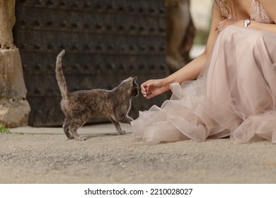 The girl crouched down and stroked the cat, which stretched its tail towards the girl's hand