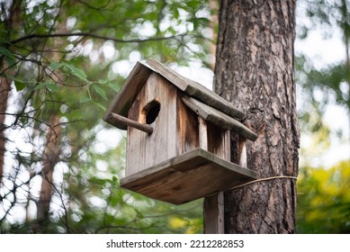 Voederhuisje voor vogels. Er hangt een voederhuisje voor vogels aan een boom in een herfstbos.