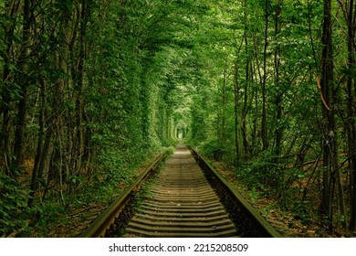un ferrocarril en el bosque de primavera. Túnel del Amor, árboles verdes y el ferrocarril
