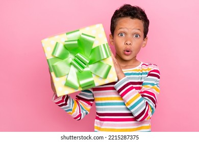 Potret gaya rambut kerinting budak lelaki tak terkata yang kagum berpakaian berjalur tangan lengan panjang memegang hadiah merenung terpencil pada latar belakang warna merah jambu